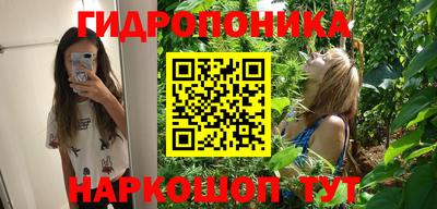 apvp Можайск