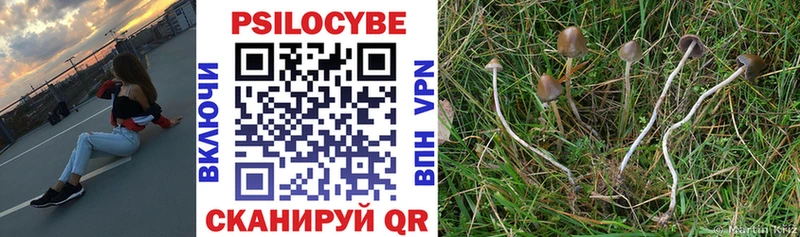 магазин    Владивосток  omg вход  Галлюциногенные грибы Psilocybe 