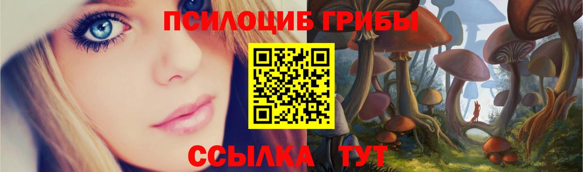 Псилоцибиновые грибы MAGIC MUSHROOMS  Вход с VPN  Псилоцибиновые грибы MAGIC MUSHROOMS  Владивосток 